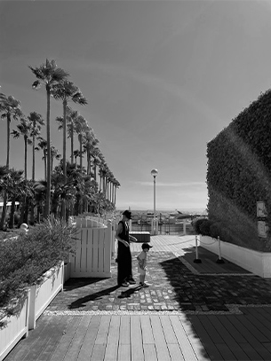 中沢 世奈の紹介